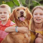 sunflower mini sessions family portrait soul shine photography 3473