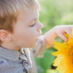 sunflower mini sessions family portrait soul shine photography 5348