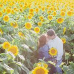 sunflower mini sessions family portrait soul shine photography 7464